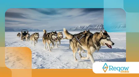história dos cães de trenó no Alasca