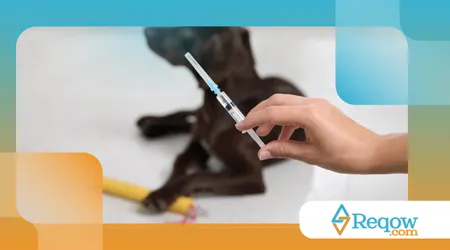 manter o cartão de vacinação atualizado