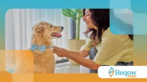 A importância de manter o cartão de vacinação atualizado