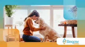 O que fazer quando o cão marca território dentro de casa