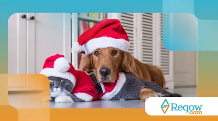 roupa de natal para pet