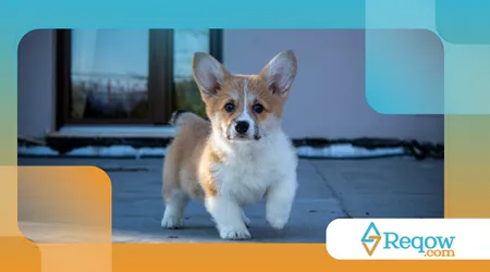 tipos de brincadeiras para evitar sobrecarga física