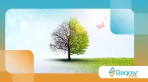 adaptar o cão a mudanças sazonais