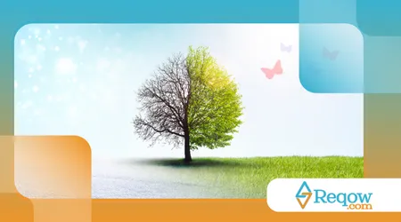 adaptar o cão a mudanças sazonais