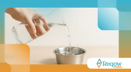 cães adoram água e outros evitam