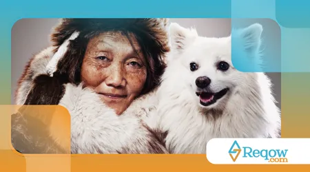 cães que mudam de cor ao envelhecer