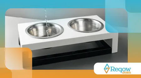 escolher o bebedouro e o comedouro ideais