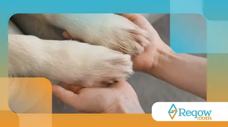 lidar com excesso de estímulos