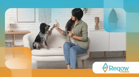 lidar com excesso de estímulos