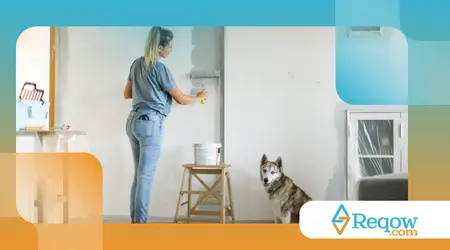 manterem o cão equilibrado em casas agitadas