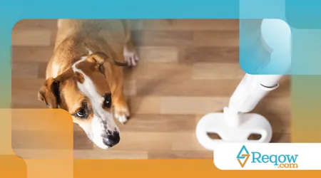 medo de aspirador de pó