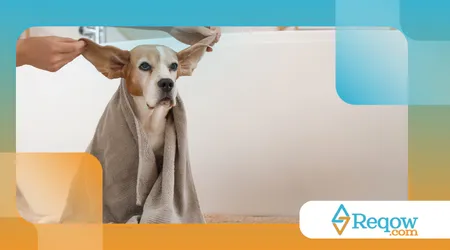 evitar odores dentro de casa