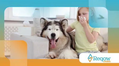 evitar odores dentro de casa