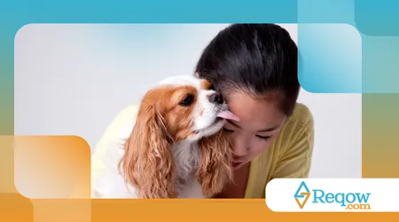 cães que insistem em lamber as pessoas