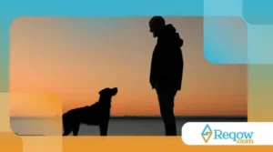 cães se orientam por cheiros a longas distâncias