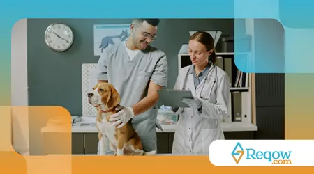 períodos de chuva e umidade