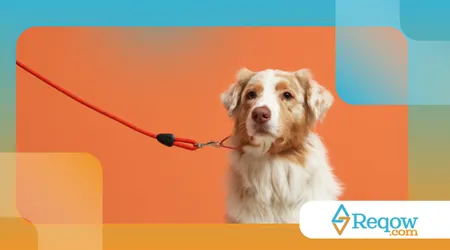 sensores e wearables