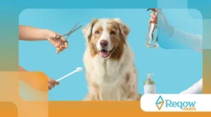 Evitar nós em pelos longos