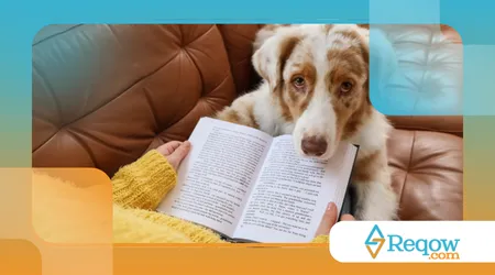 eles escolhem um tutor favorito