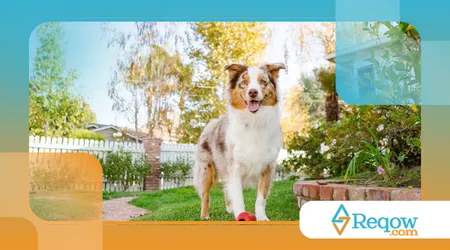 Motivo de seguirem você pela casa