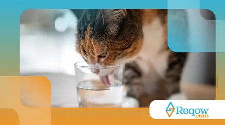 criarem hábitos saudáveis sem estresse