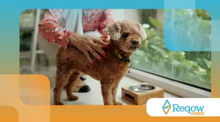 criarem hábitos saudáveis sem estresse