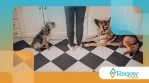 Lidarem com energia acumulada