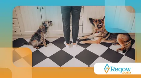 Lidarem com energia acumulada