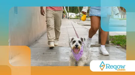 Passeios em bairros agitados