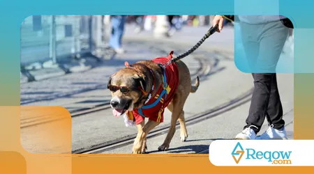 Passeios em bairros agitados