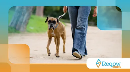 passeios em bairros agitados