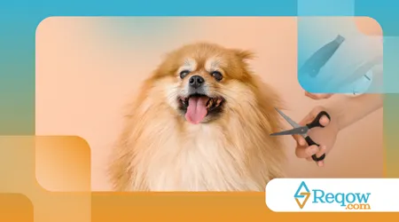 Raças de cães que não suportam ficar sozinhas