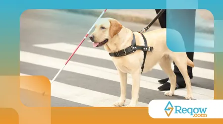 cães que ajudaram a salvar vidas em guerras