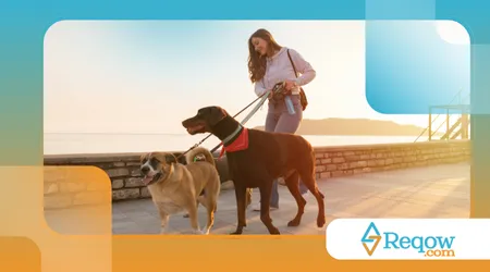 cães que ajudaram a salvar vidas em guerras