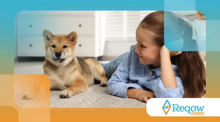 Criarem rotina previsível ao pet