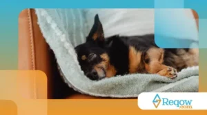 descanso após sessões de exercícios estimulantes