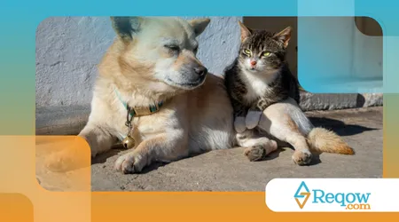 descanso após sessões de exercícios estimulantes