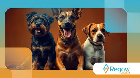 uma rotina mais organizada