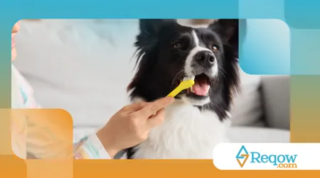 uma rotina mais organizada