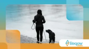 Cães superprotetores