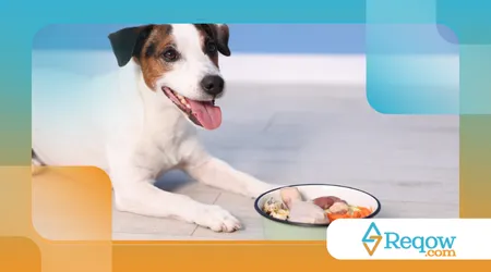  fazer o cachorro ignorar comida no chão