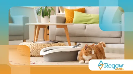 Como limpar caixa de areia do gato