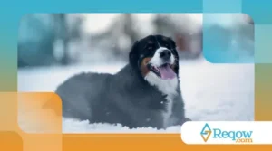 Adaptar o espaço em dias frios