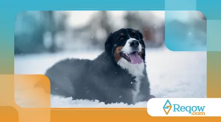 Adaptar o espaço em dias frios