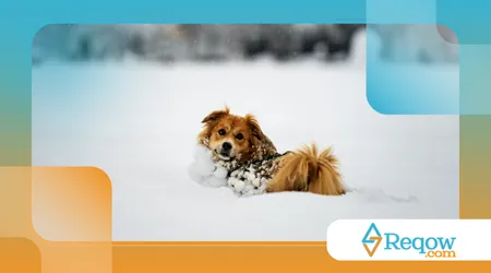 Adaptar o espaço em dias frios