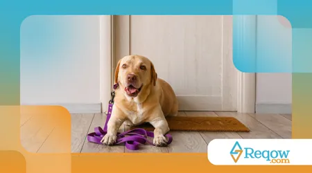 Higienizar tapetes higiênicos