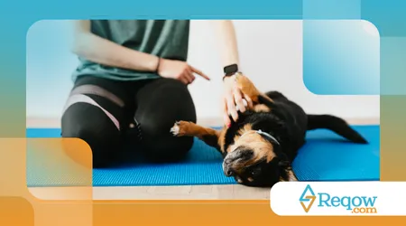 Higienizar tapetes higiênicos