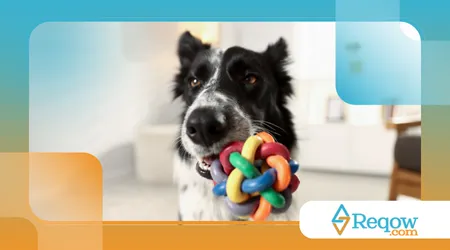 Higienizar tapetes higiênicos