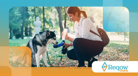 Adotaram cachorro adulto