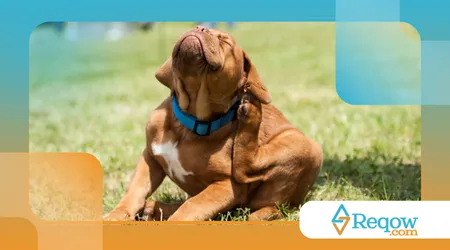 Afetados por excesso de estímulos